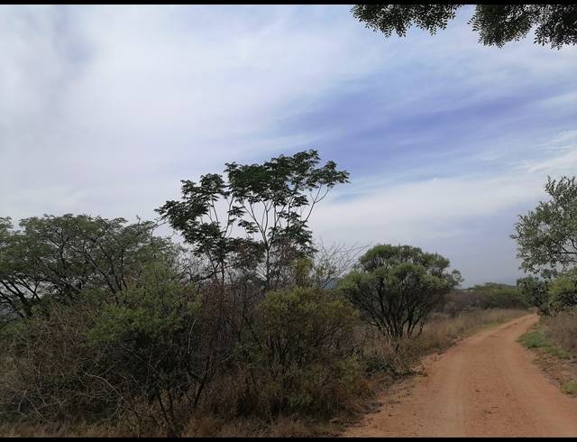 21HA FARM FOR SALE IN MOOINOOI